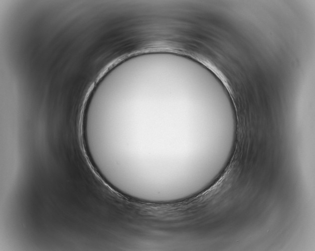 X0000096171477200801180820