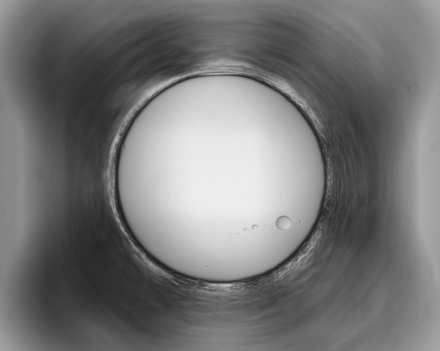 X0000096171478200801180820