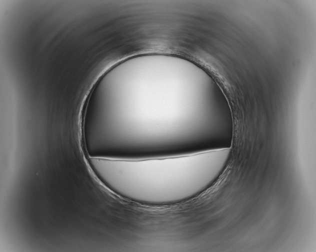 X0000096171479200801180820