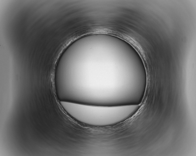 X0000096171481200801180820