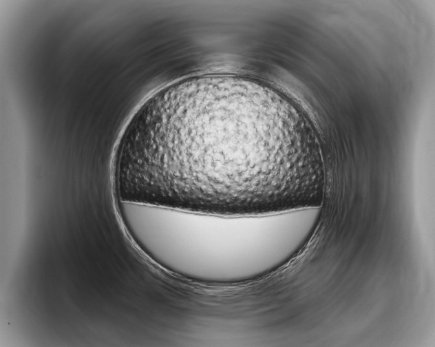 X0000096171483200801180820