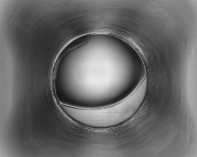 X0000096171484200801180820