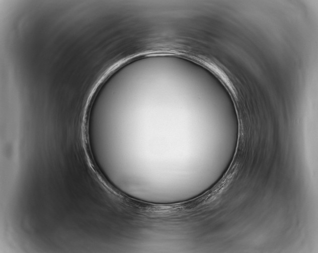 X0000096171485200801180820