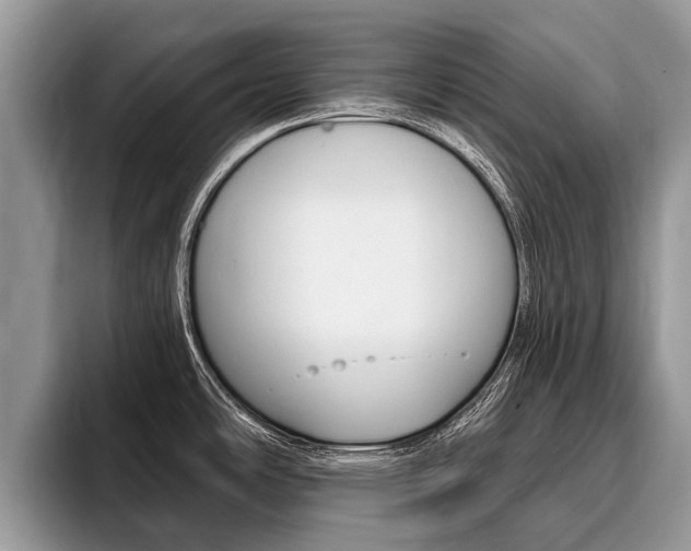 X0000096171486200801180820