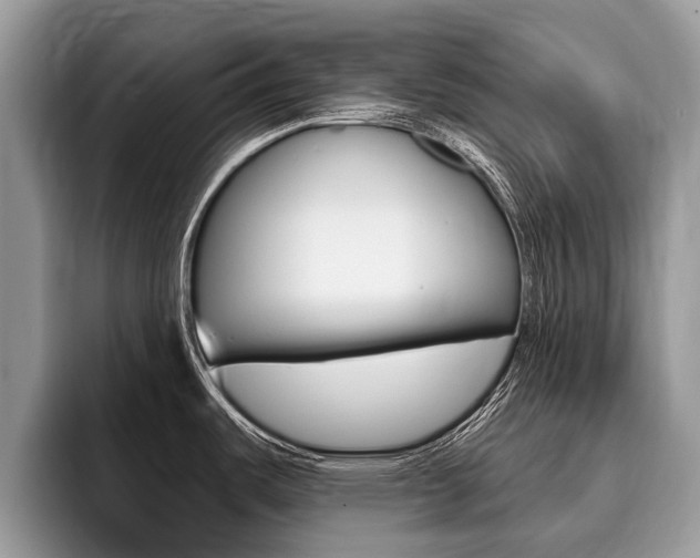 X0000096171487200801180820