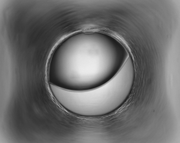 X0000096171488200801180820