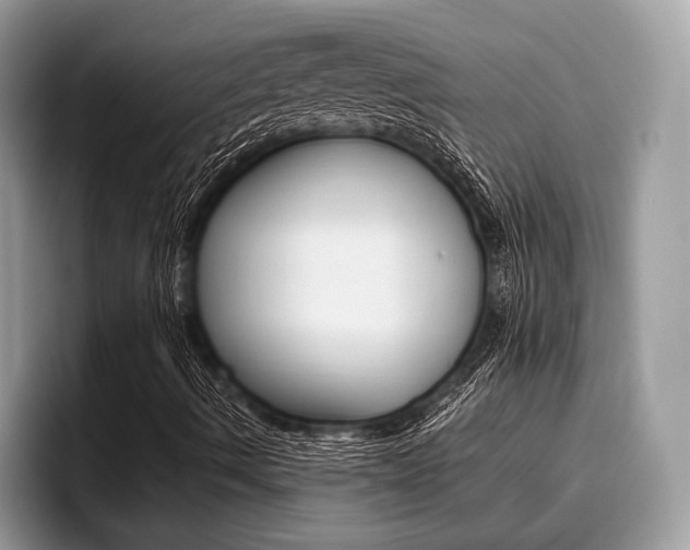 X0000096171490200801180819