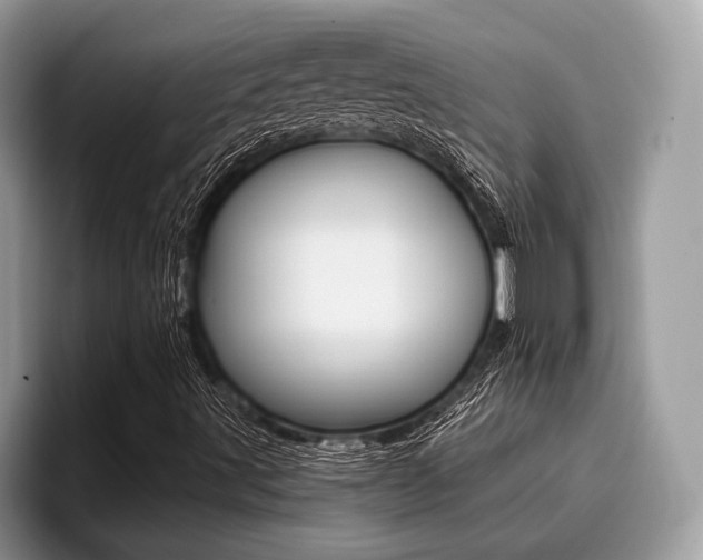X0000096171491200801180819