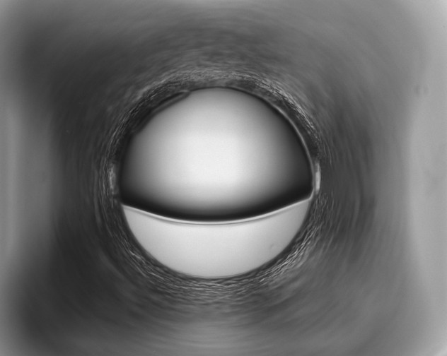 X0000096171492200801180819