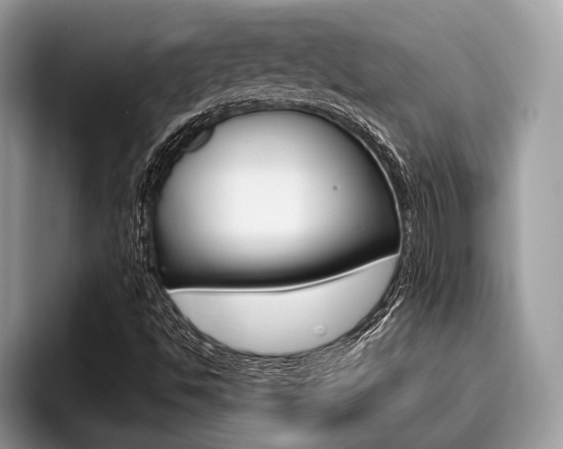 X0000096171494200801180819