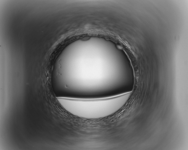 X0000096171495200801180819