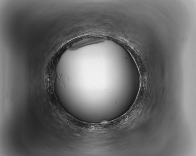 X0000096171496200801180819