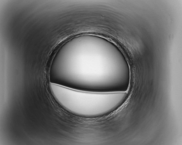 X0000096171497200801180819