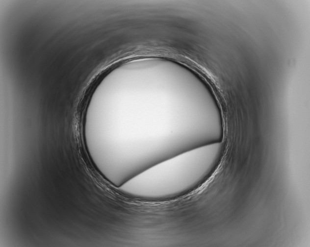 X0000096171498200801180819