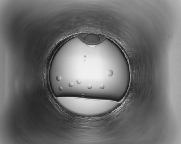 X0000096171499200801180819
