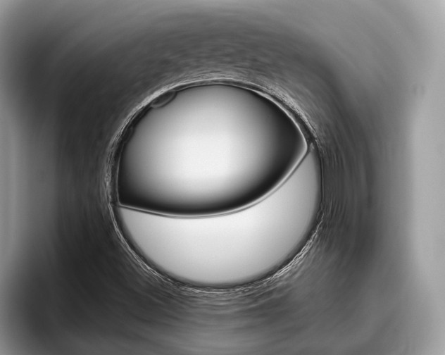 X0000096171500200801180819