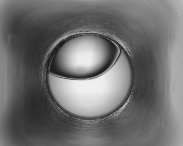 X0000096171502200801180819
