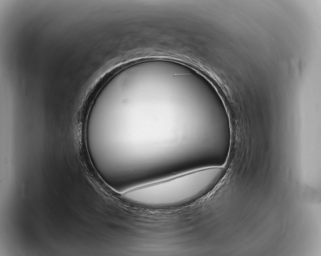 X0000096171503200801180819