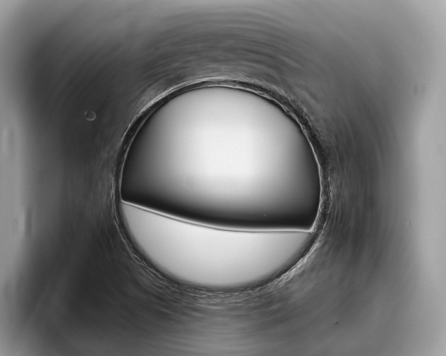 X0000096171505200801180819