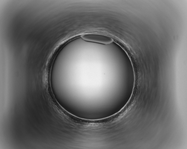 X0000096171506200801180819
