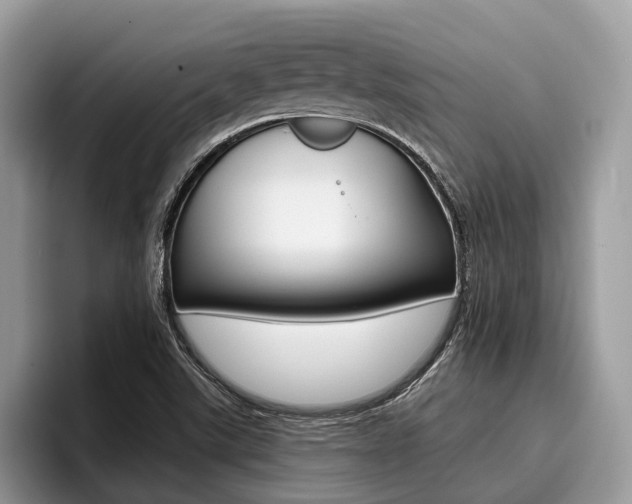 X0000096171507200801180819
