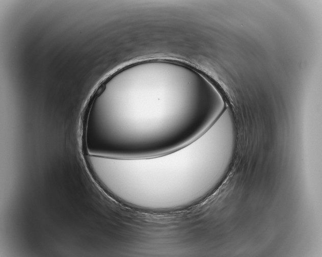 X0000096171508200801180819