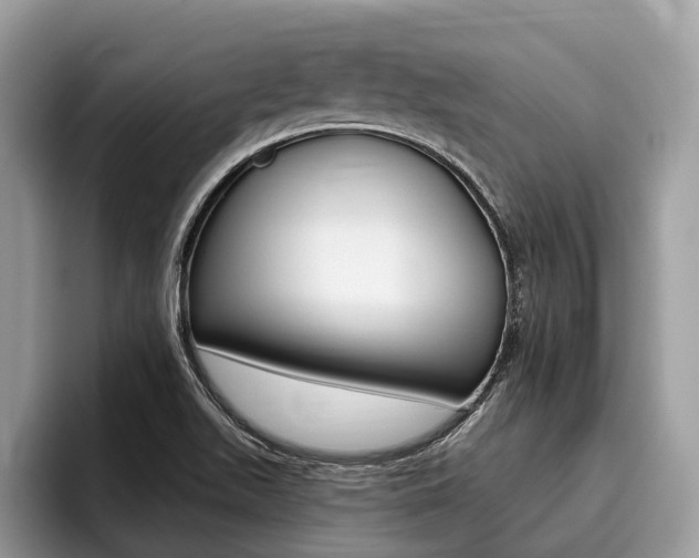 X0000096171511200801180819