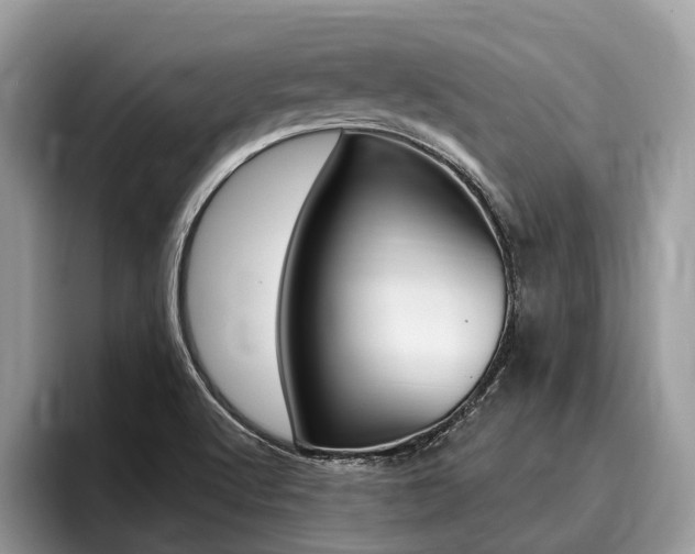 X0000096171512200801180819