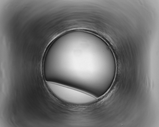 X0000096171513200801180819