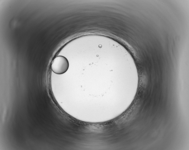 X0000096171514200801180819