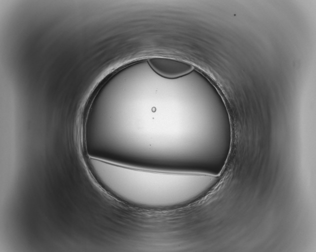 X0000096171515200801180820