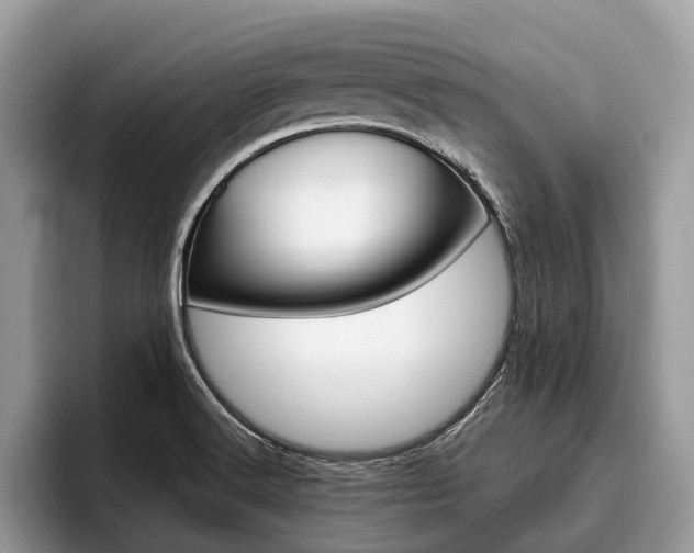 X0000096171516200801180820