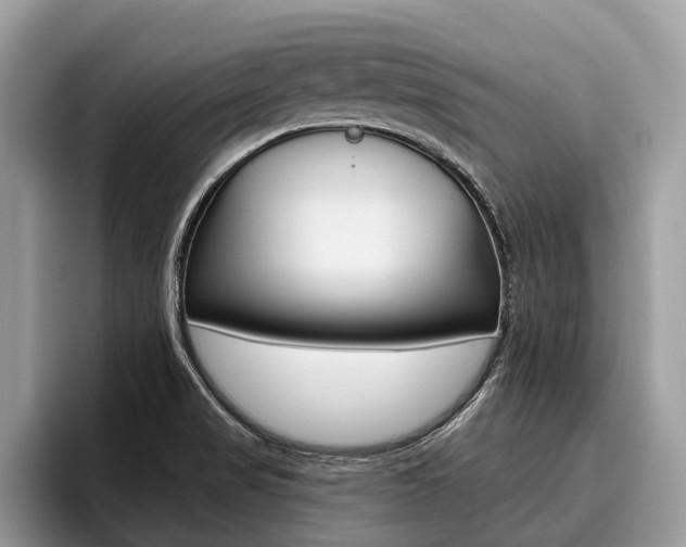 X0000096171517200801180820