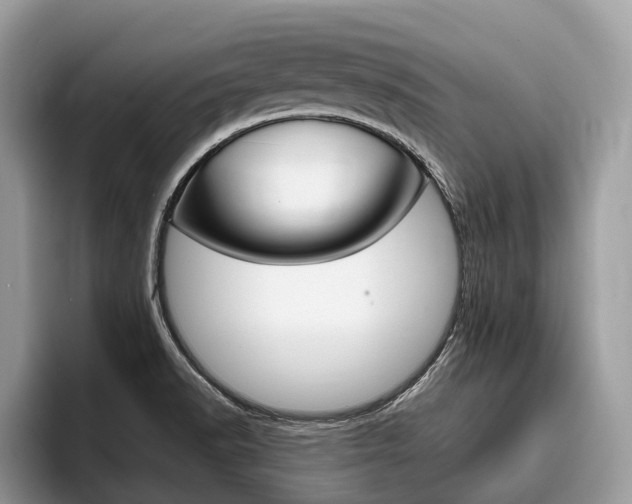 X0000096171518200801180820