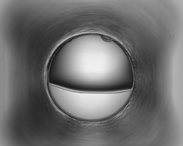 X0000096171519200801180820