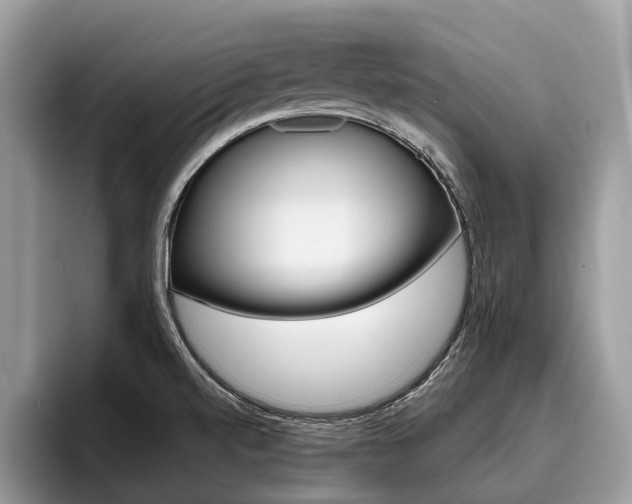X0000096171520200801180820