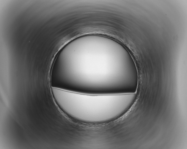 X0000096171521200801180820