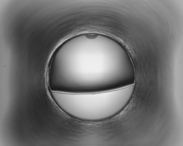 X0000096171522200801180820
