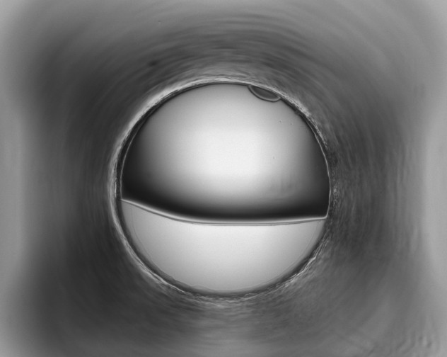 X0000096171523200801180820