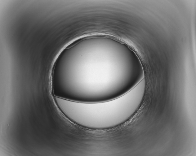 X0000096171524200801180820