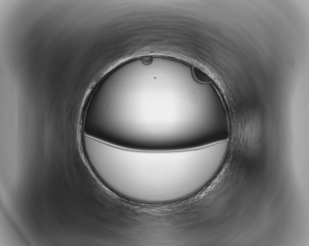 X0000096171525200801180820
