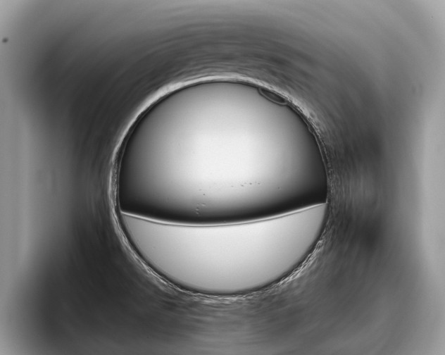 X0000096171526200801180820