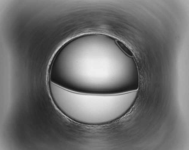 X0000096171527200801180820