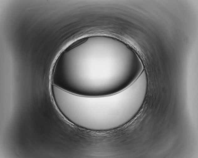 X0000096171528200801180820