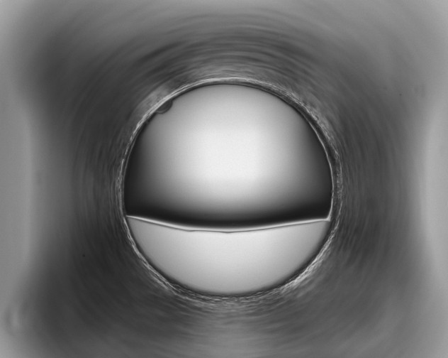 X0000096171529200801180820