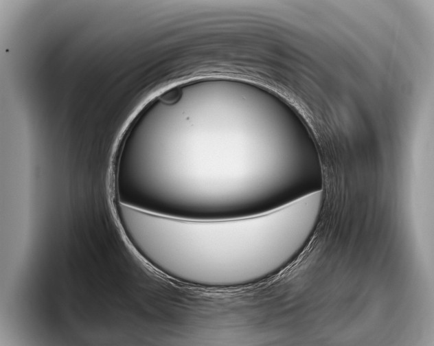 X0000096171531200801180820