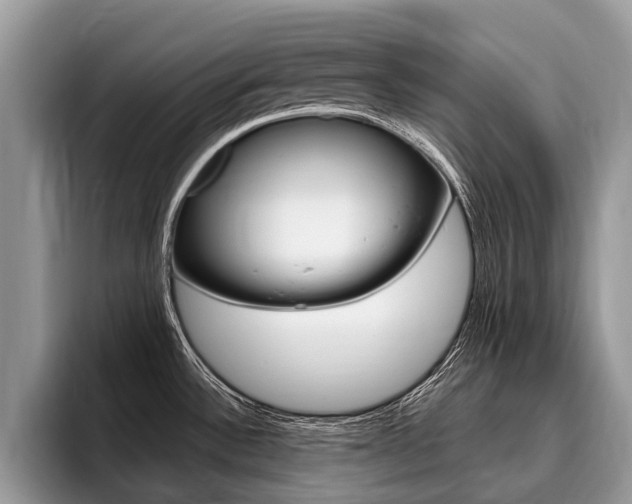 X0000096171532200801180820