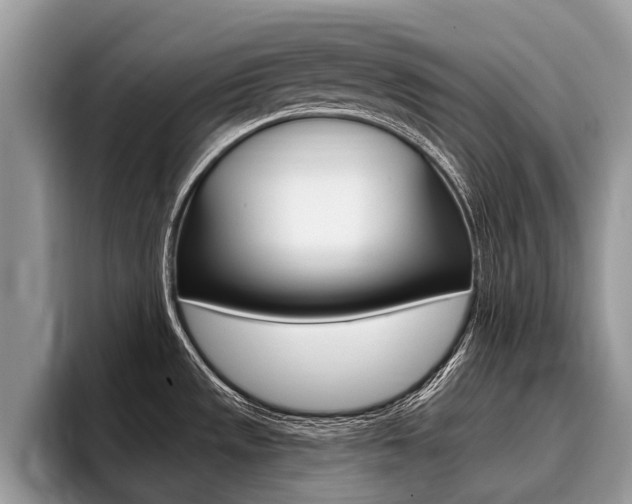 X0000096171533200801180820