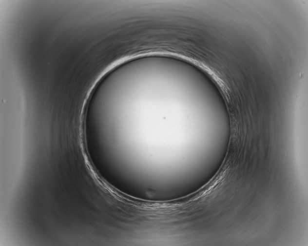 X0000096171534200801180820
