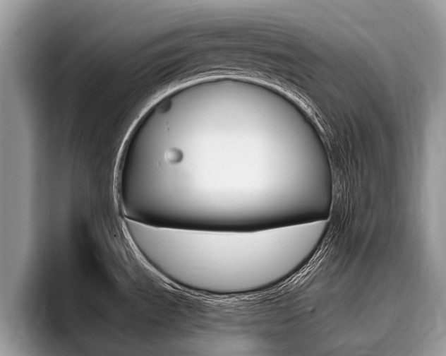X0000096171535200801180820